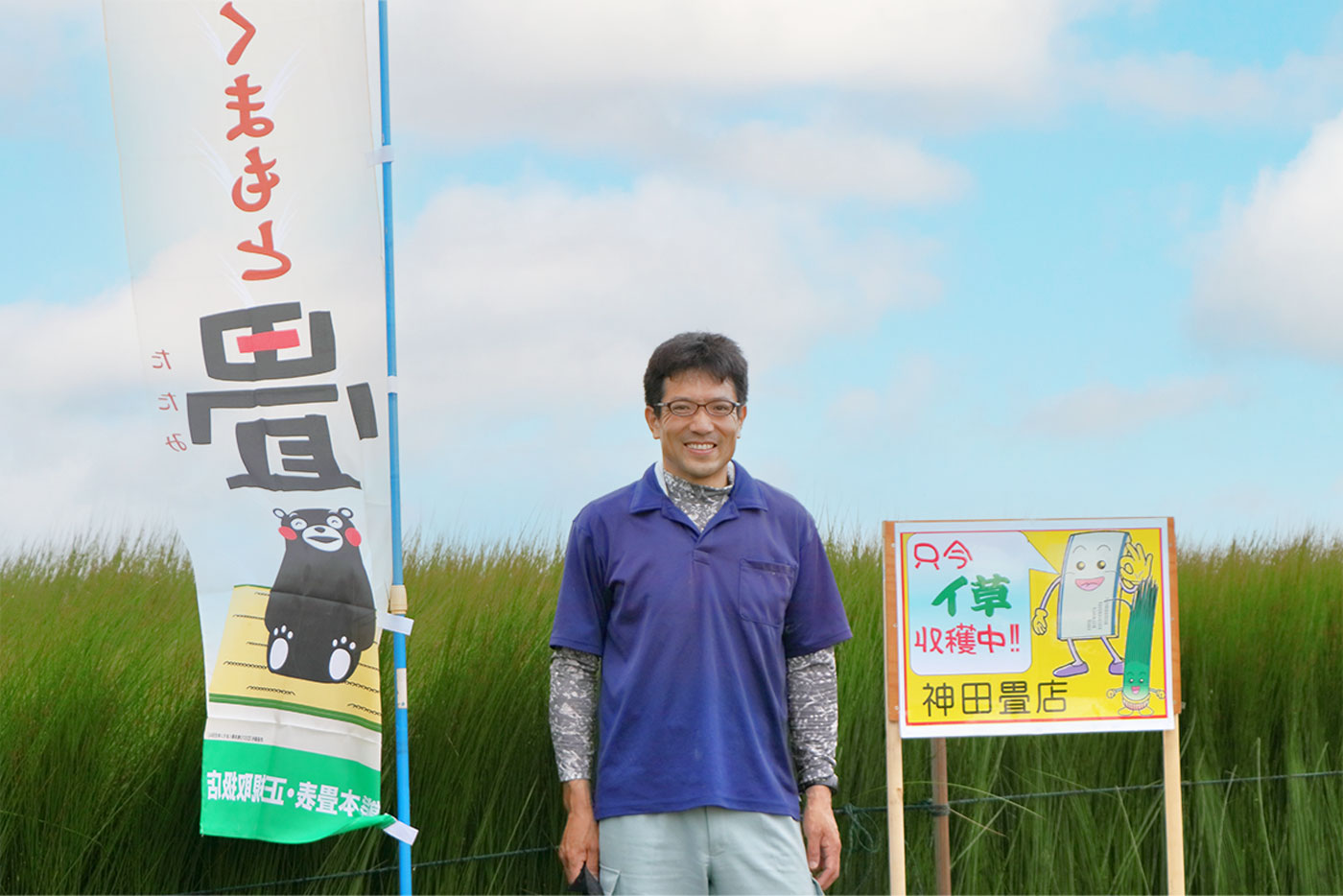 イ草収穫中
