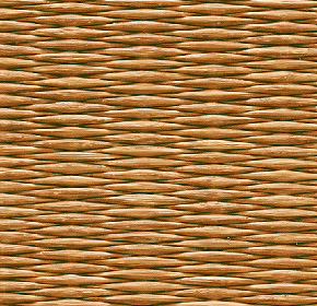 目積ブラウン