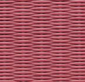 目積カメリア