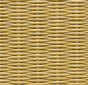 目積ツルバミ